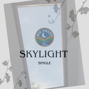 Skylight cover