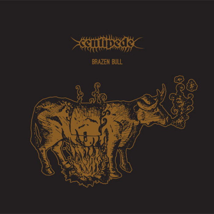 Brazen Bull Centipede