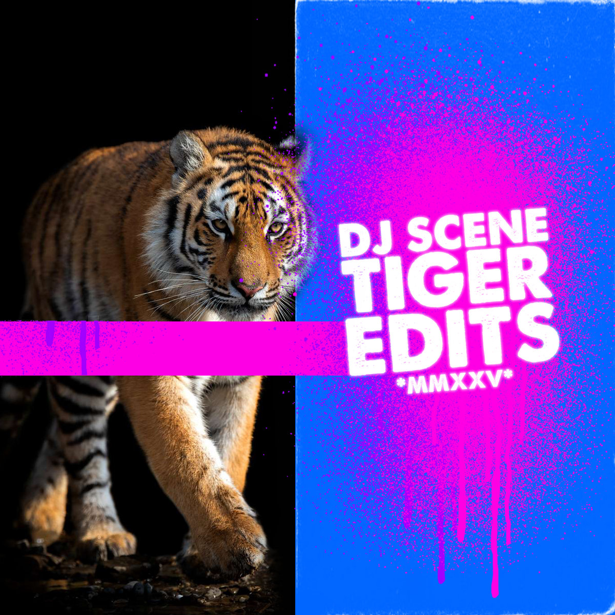 【激レア】DJ Steef – Edits Vol.2 12inch TIGER EDITS (2025) | DJ Scene