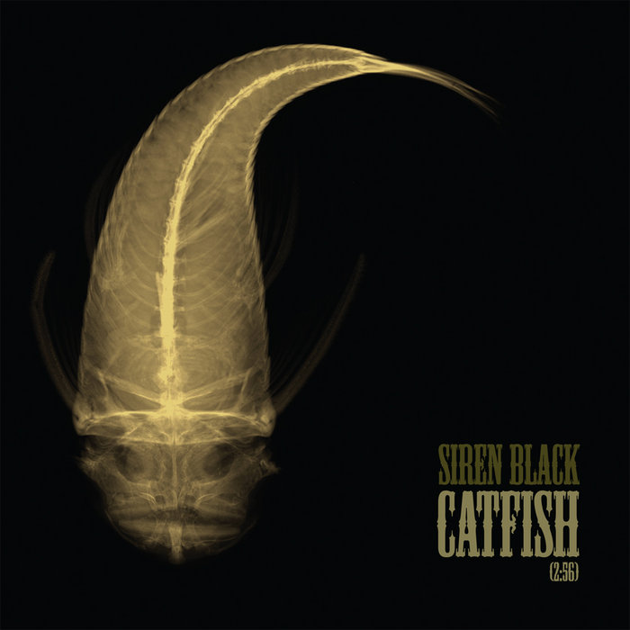 Catfish/Mild Antidote Siren Black