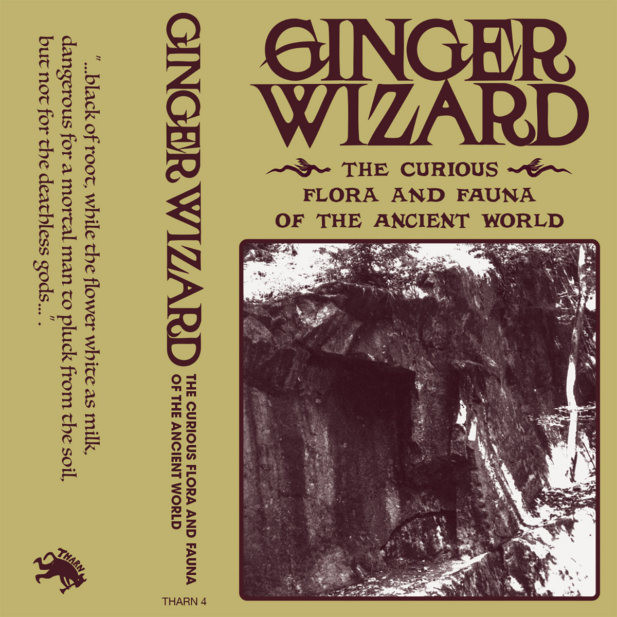 Curious Flora & Fauna of the Ancient World by Ginger Wizard