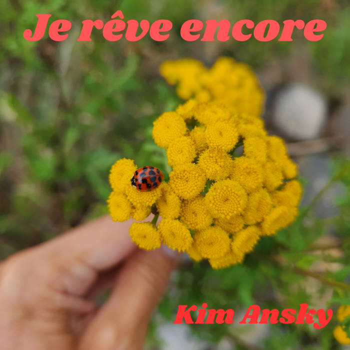 Je rêve encore, by Kim Ansky
