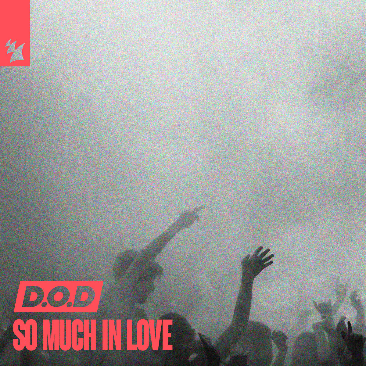 So Much In Love | D.O.D