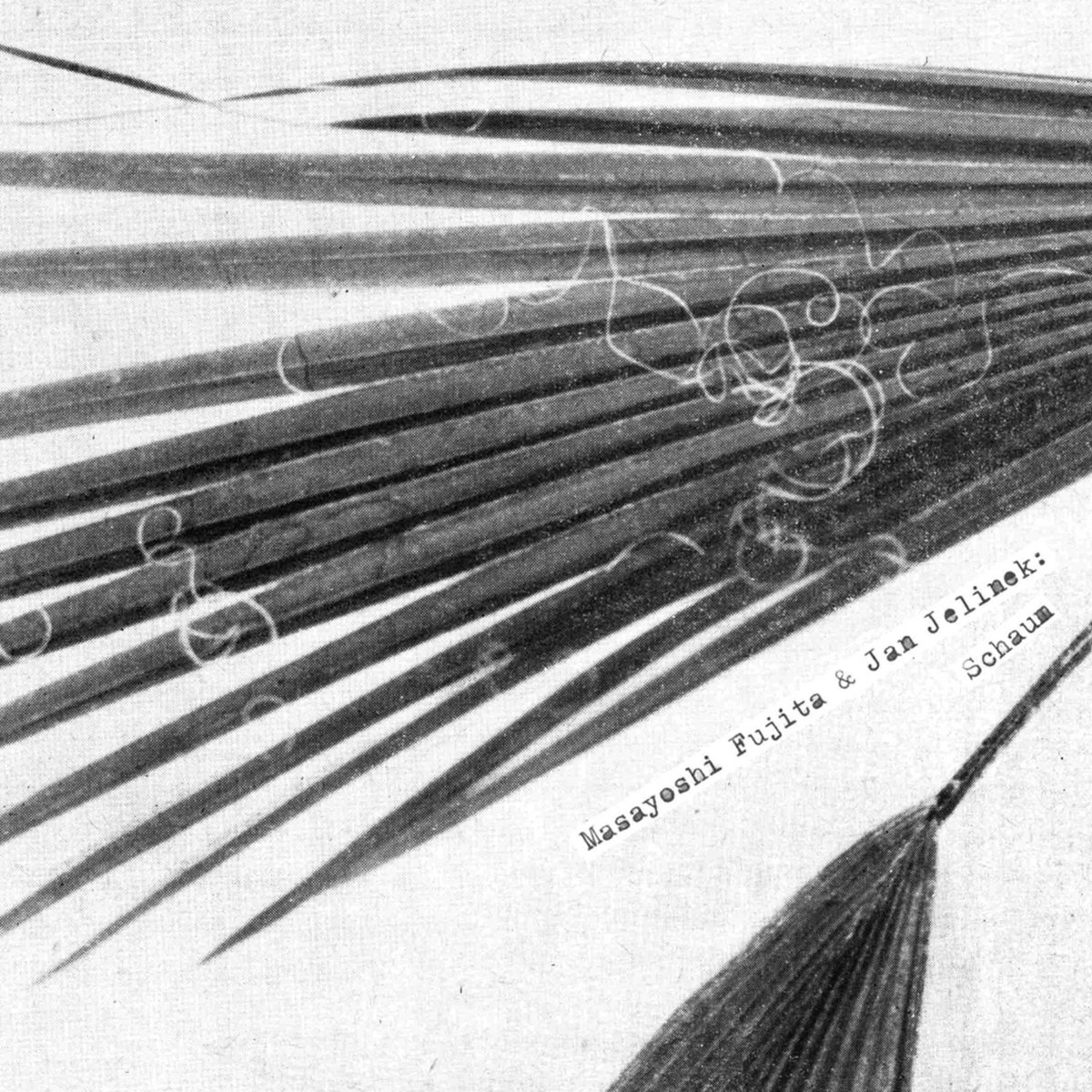 LesLang | Masayoshi Fujita & Jan Jelinek