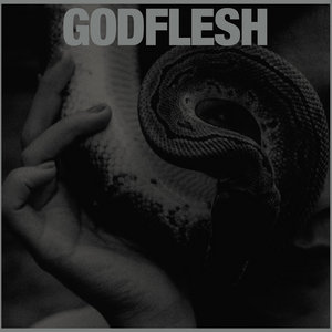 Godflesh — PURGE