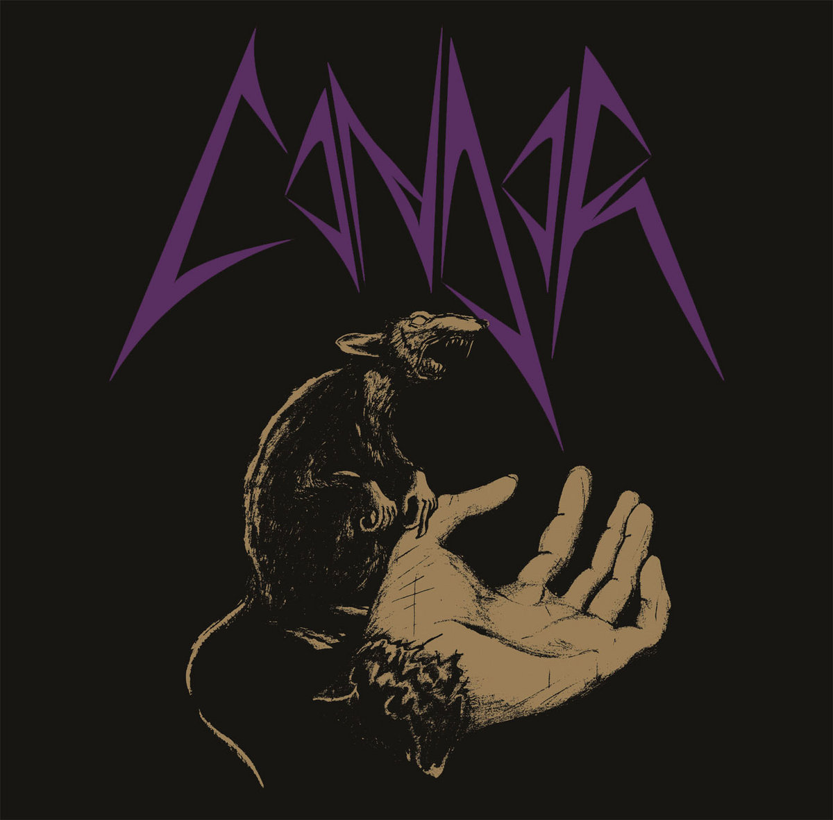 Resultado de imagen de condor facing the first winter