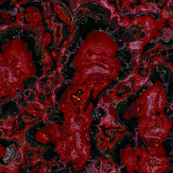 Blood Lines | Spectac