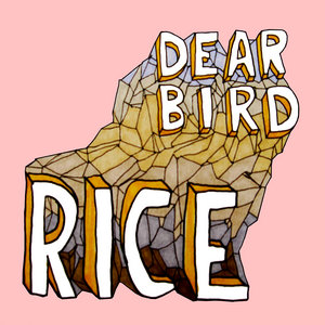 Dear Bird cover