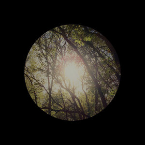 novemthree — Closer To Truth