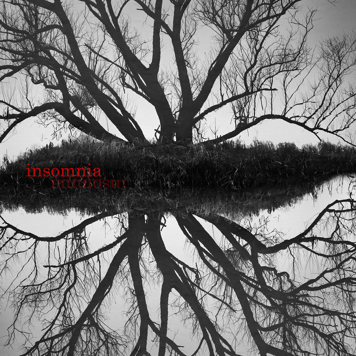 4am-wake-up-piotr-olechowski-piotr-olechowski
