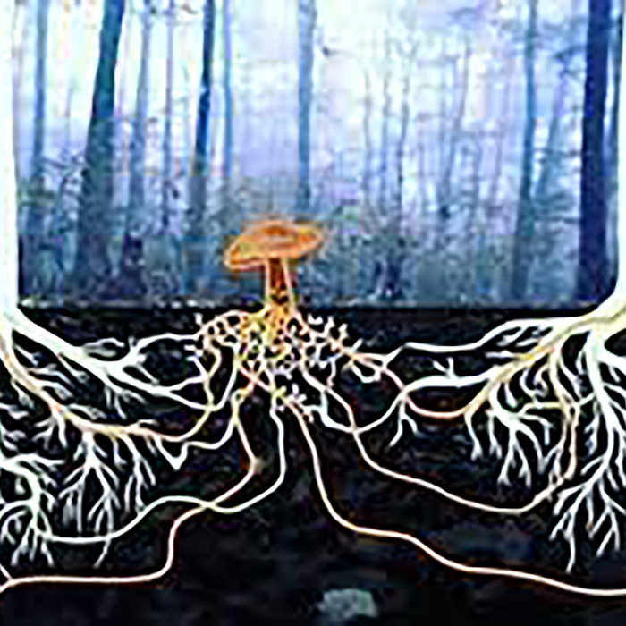 Mycelium Dreams Sonic Microdosing created with Biosonic Tuning Forks