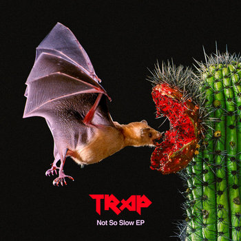 Album artwork for Not So Slow EP