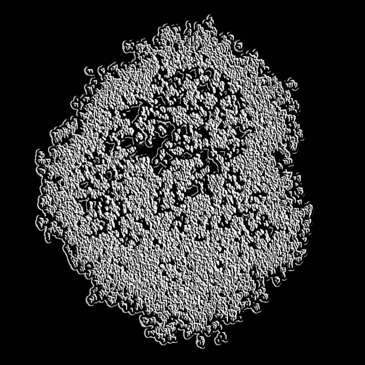 Demo | Fermented Fumes
