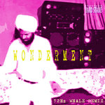 THOUSAND YARD STARE - Wonderment (52Hz Whale Remix)