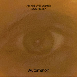 All You Ever Wanted (SOS REMIX) cover