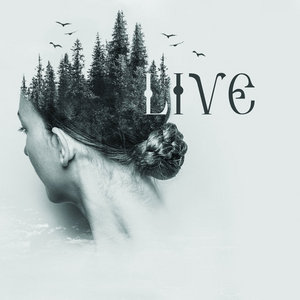 Vedan Kolod — LIVE AT DOM (EP)Vedan Kolod