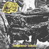 ULCERATING TUMOR - FERMENTED LUNGS