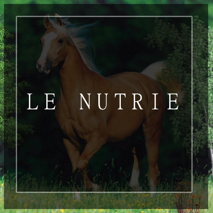 La campata è un cubo esata // Sopra ogni campata finestra timpanata