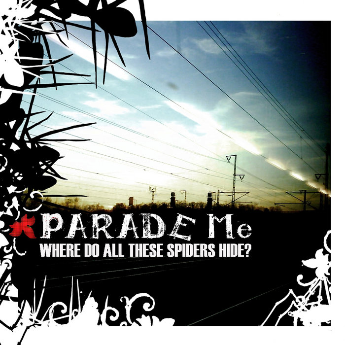 Where Do All These Spiders Hide Parade Me