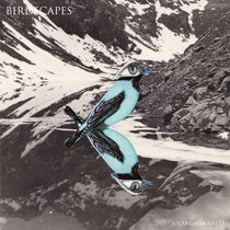 Birdscapes Ep cover art