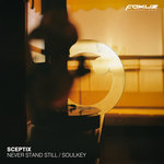Never Stand Still / Soulkey