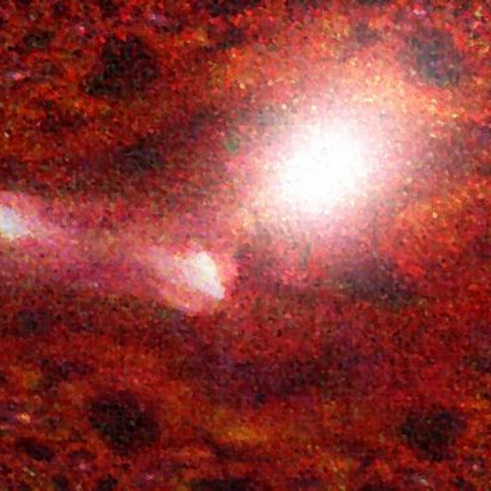 Our Heaviest Weight Hoy/Exp.