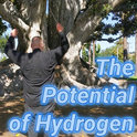 "The Potential of Hydrogen" cover art