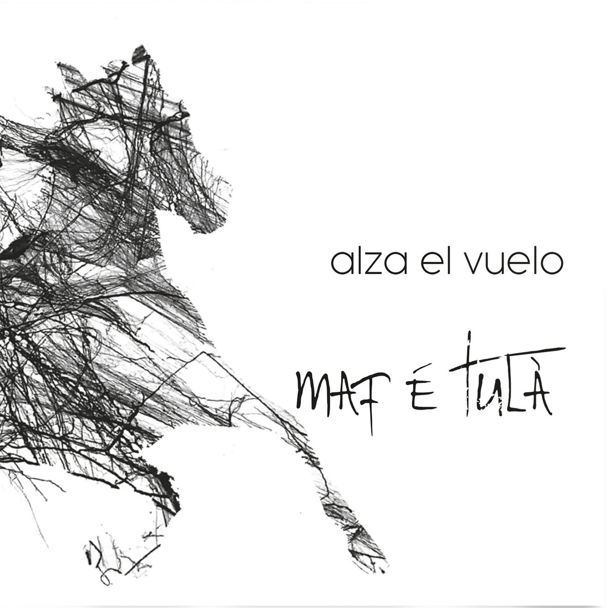 Respect the Ocean Shirt With Words on Back - VSCO Tee Aesthetic Shirt Ocean  Surf Shirt Beachy Tee - Etsy Israel, image size:1200x1200