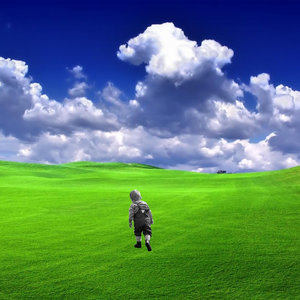 The Green Fields of Home. cover