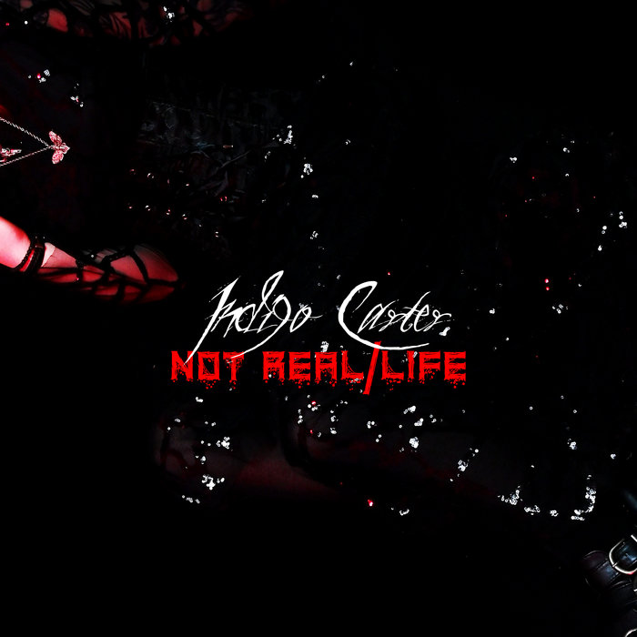 Not Real Life Not Real Life | Indigo Carter