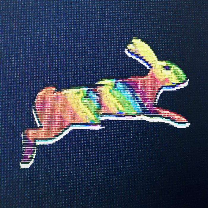 Catch Rabbit | Catch Rabbit