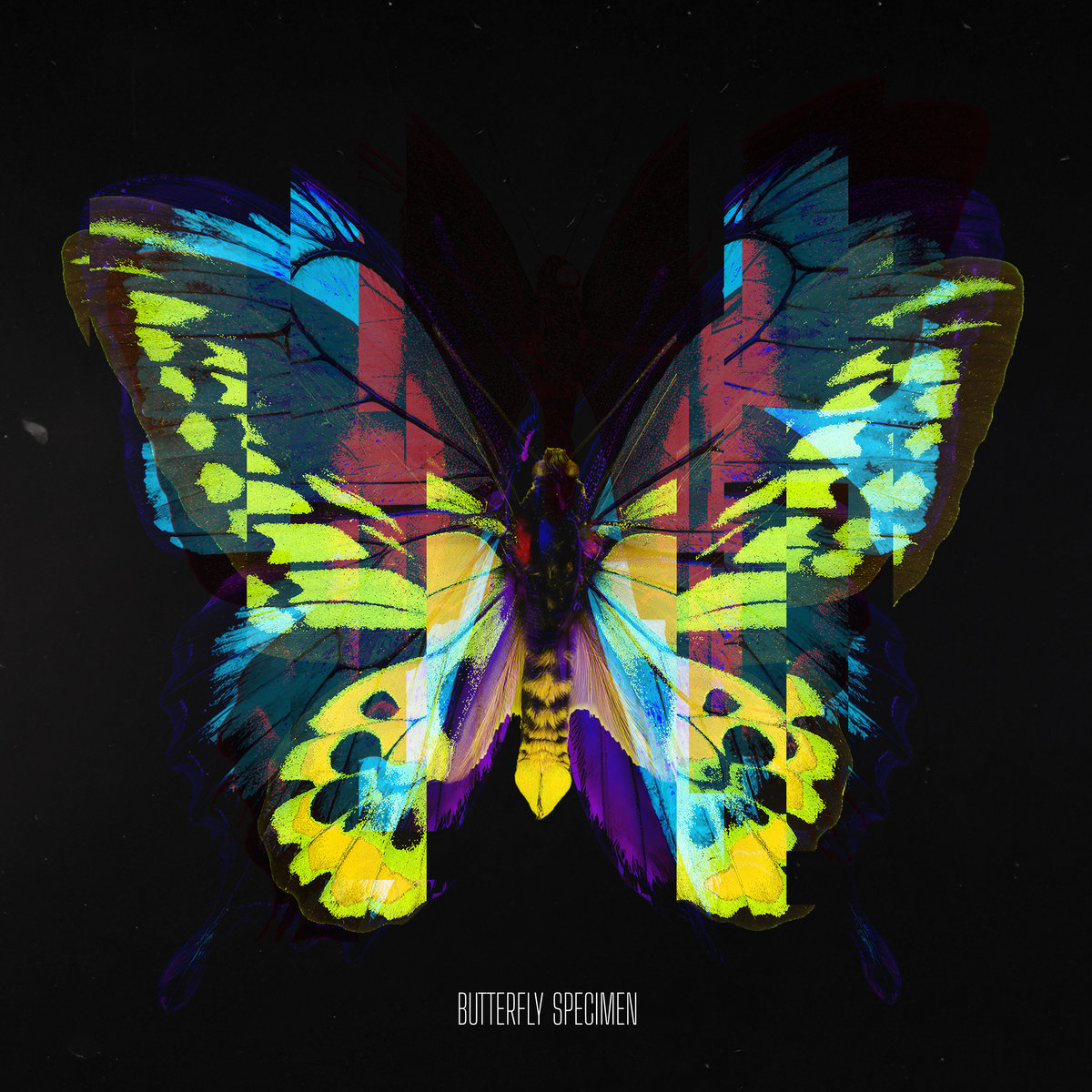 BUTTERFLY - スピンアート 楽天市場】バタフライ(BUTTERFLY) スピンアート 粘着性ハイ