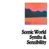 Synths & Sensibility Cover Art