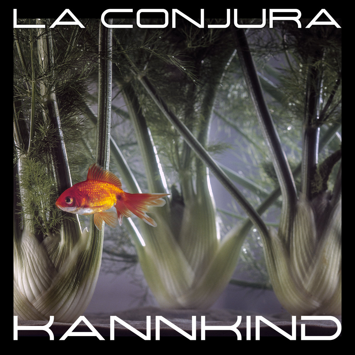 La conjura Kannkind image