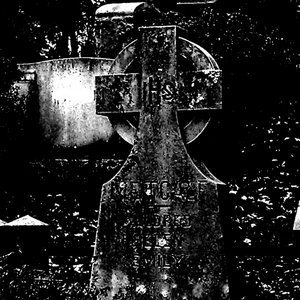 2019 demos cover