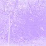 Wax Museum/[*~*~|~*~*] | Ego Border