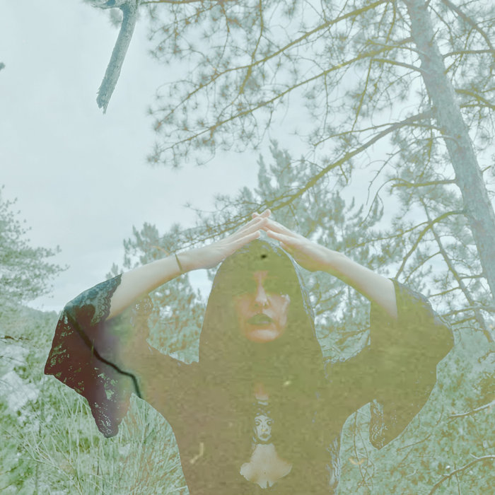 Consecration | Ailise Blake