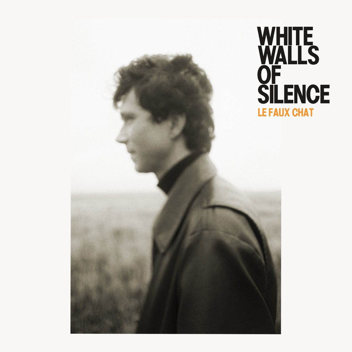 White Walls of Silence | Le Faux Chat