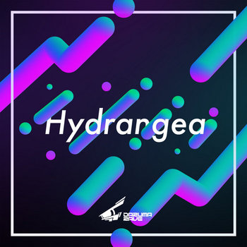 Music | Srav3R