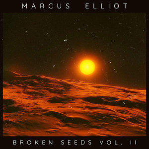 Broken Seeds Vol. II (Live in Detroit) cover