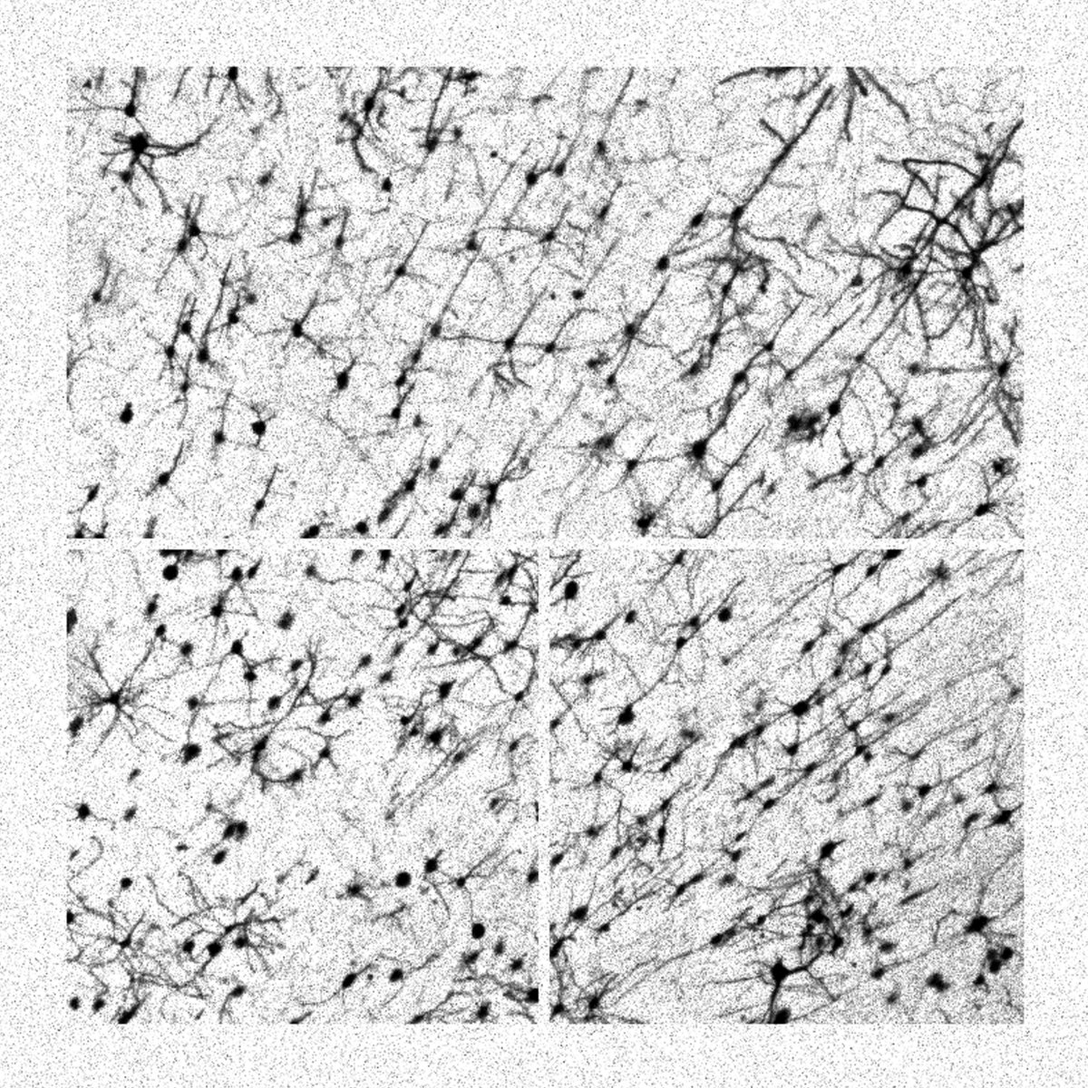 shape without form shade without colour systek shape without form