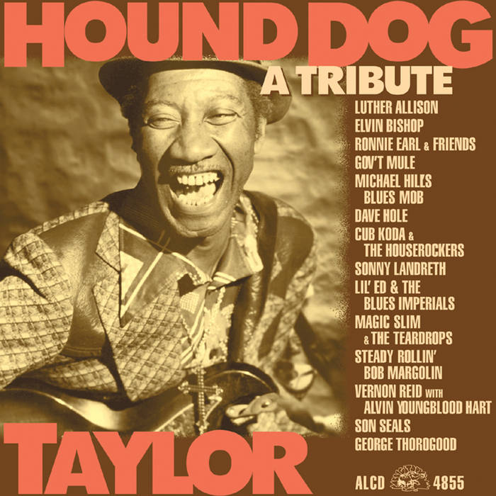 Hound Dog Taylor: A Tribute | Various Artists | Alligator Records