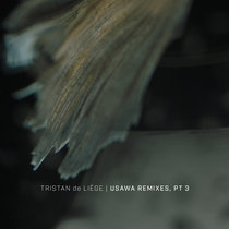 Usawa Remixes, Pt. 3 cover art