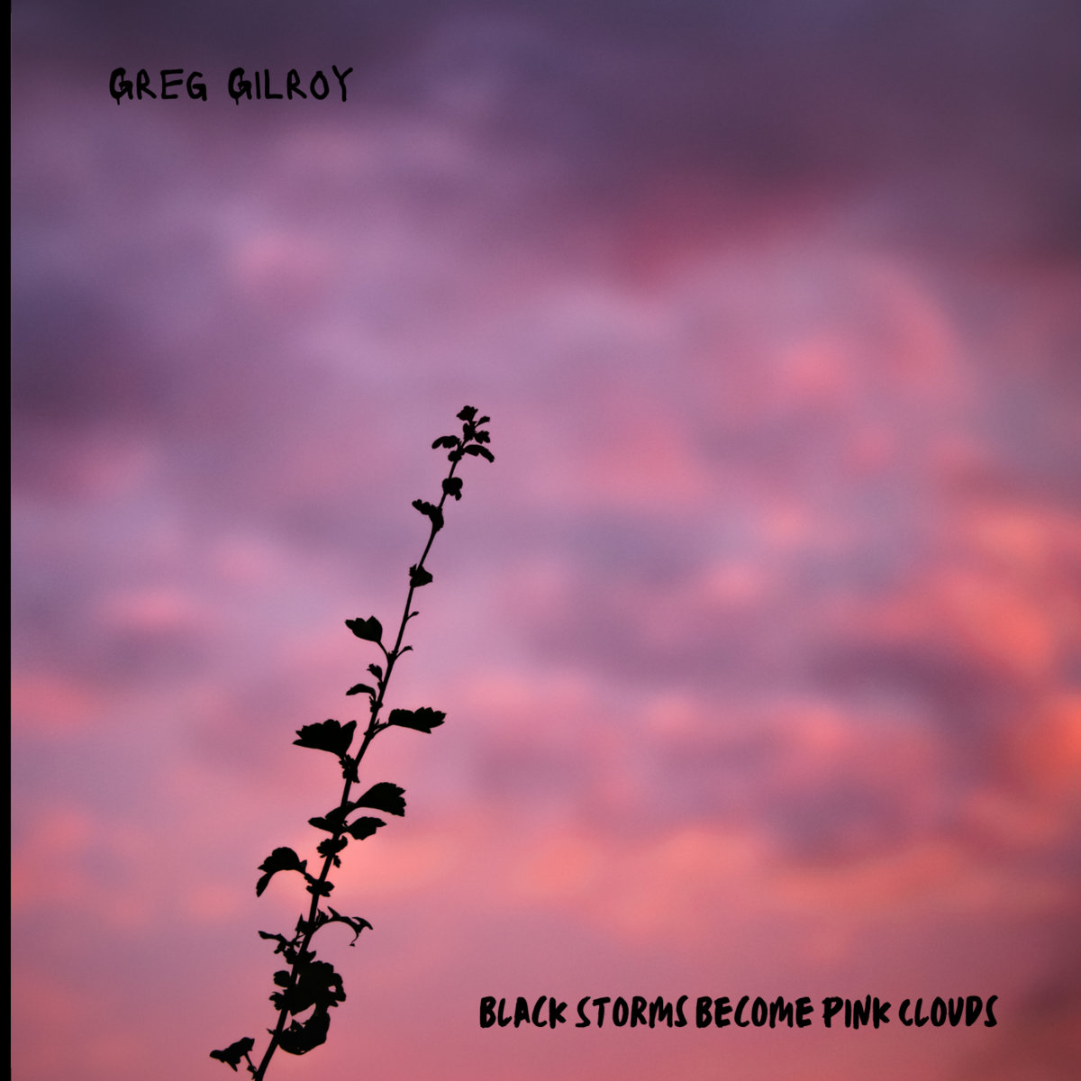 Pink Greg Black Storms become Pink Clouds | Greg Gilroy
