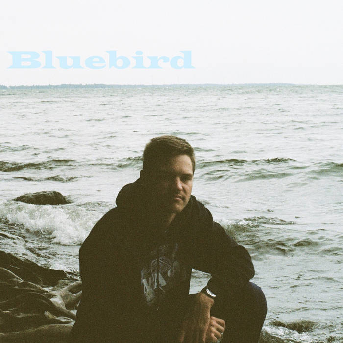Bluebird (Paul McCartney and Wings) | Torin Guest