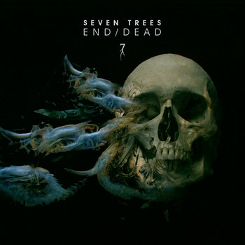 Music | Seven Trees