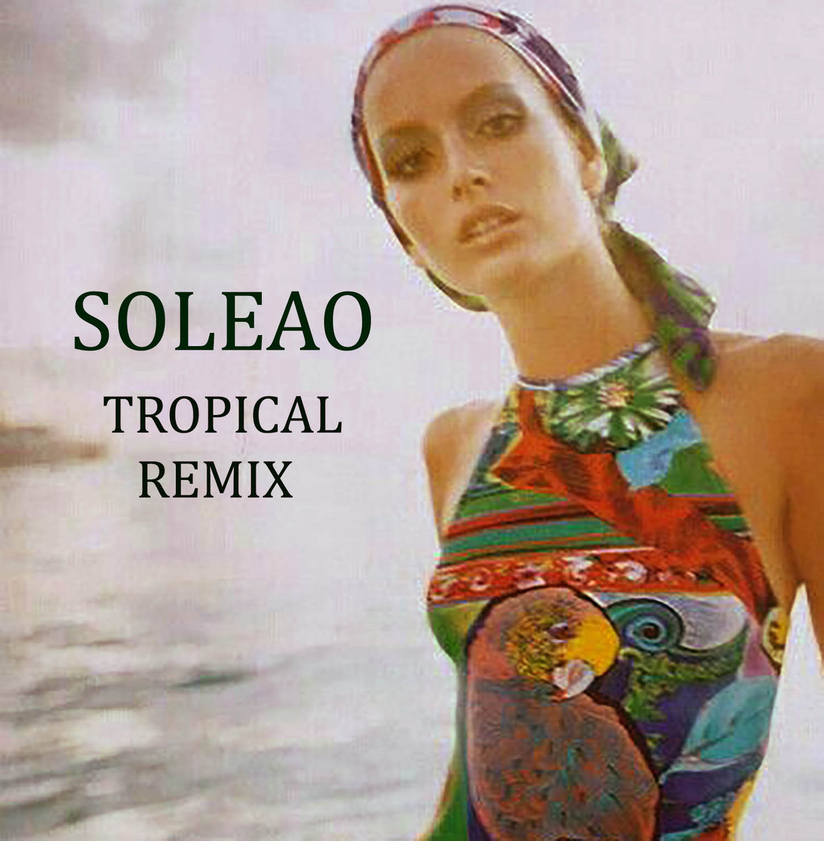 The Doors - L.A. Woman Remix | Sonic Funk Foundry