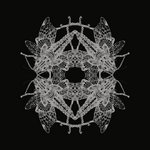 The Fall Of The Empire Is Imminent Pfirter the fall of the empire is imminent