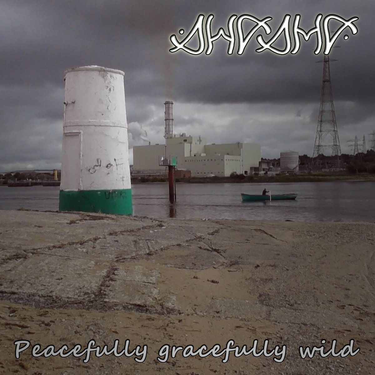 'Peacefully Gracefully Wild' single cover art