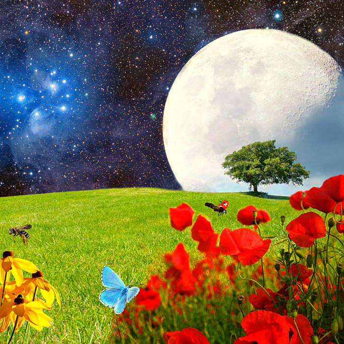 Relaxing sleep music best sale
